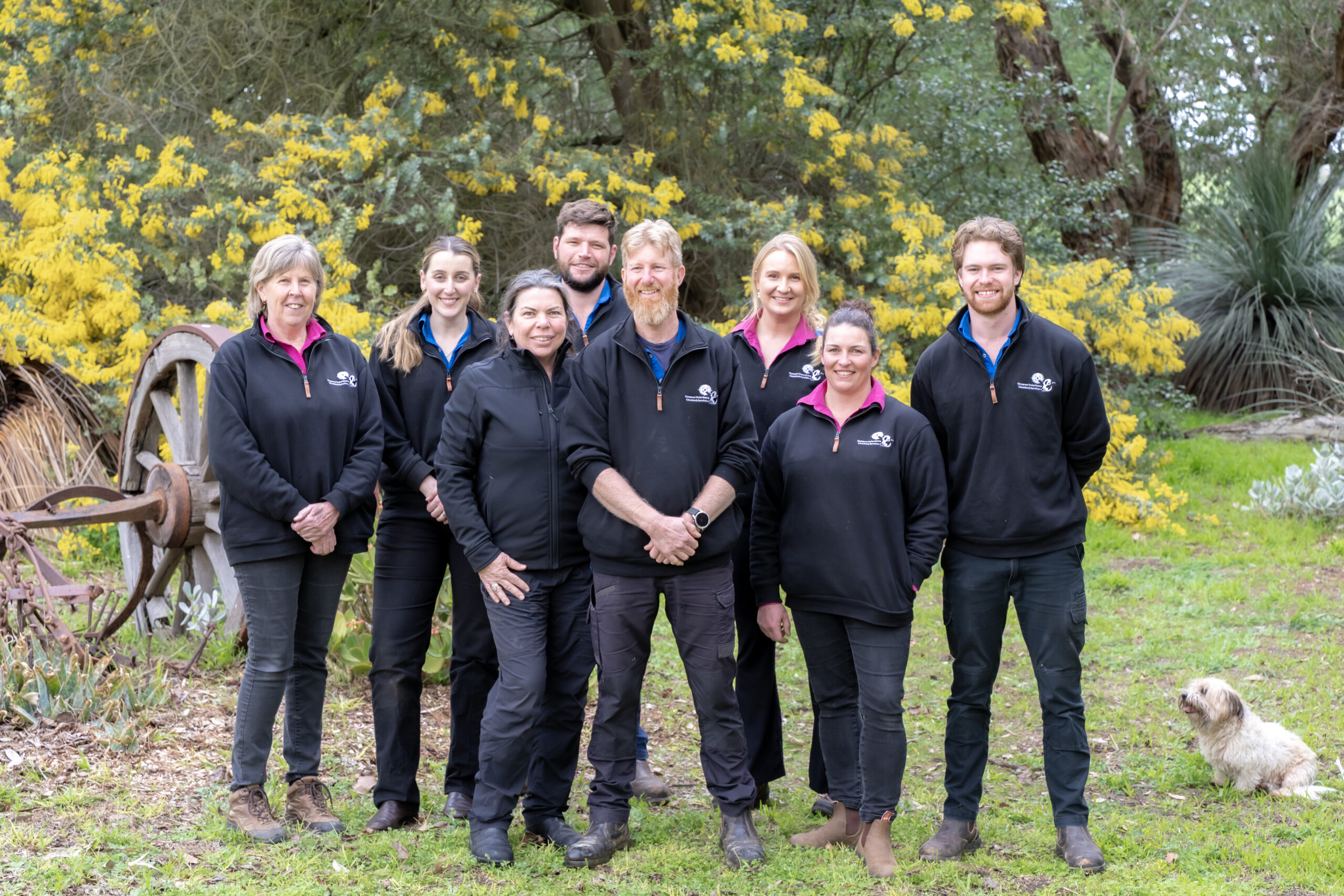 Routine Farm Visits South Australia Veterinary Services